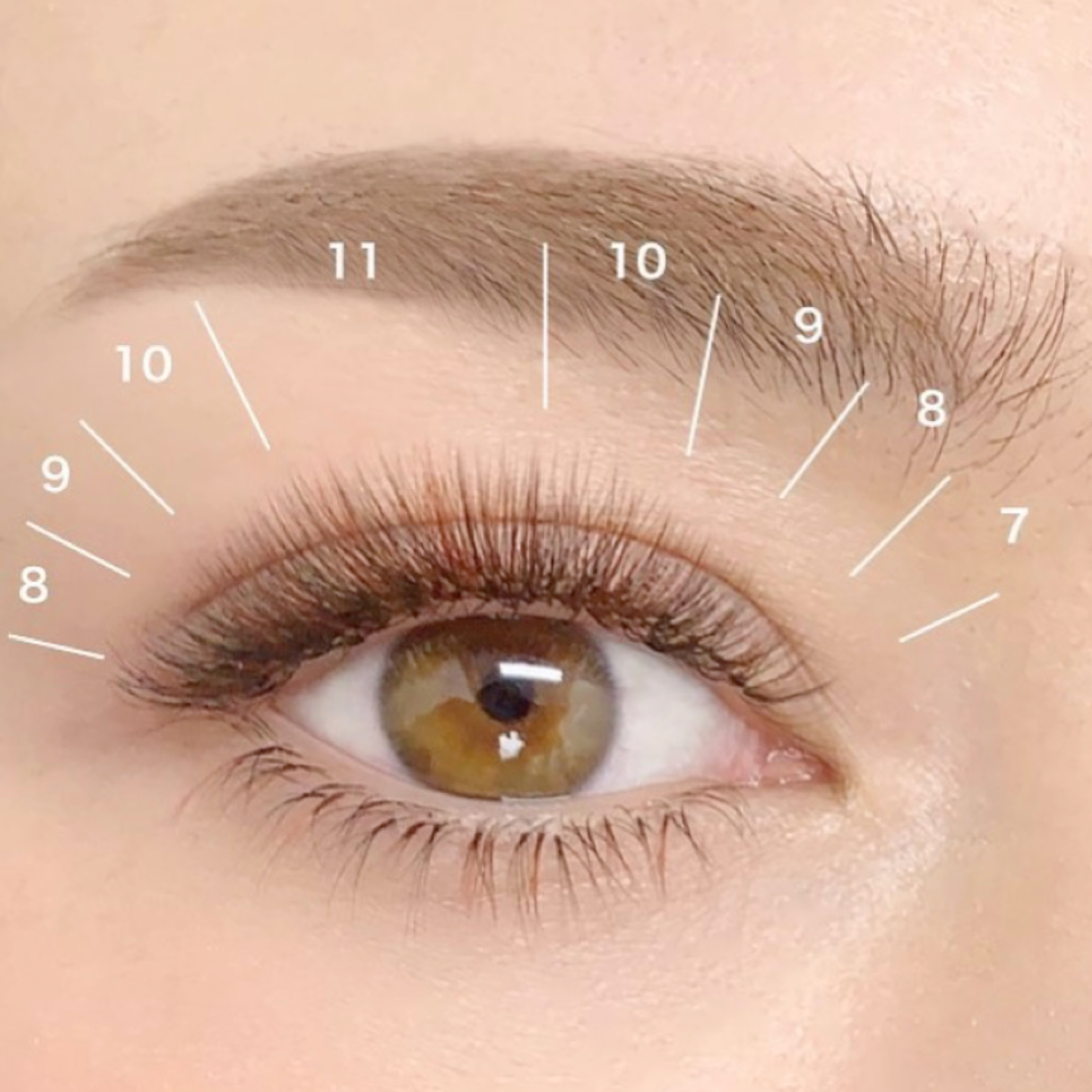 12時間基礎コースボリュームラッシュ講習(東京青山）